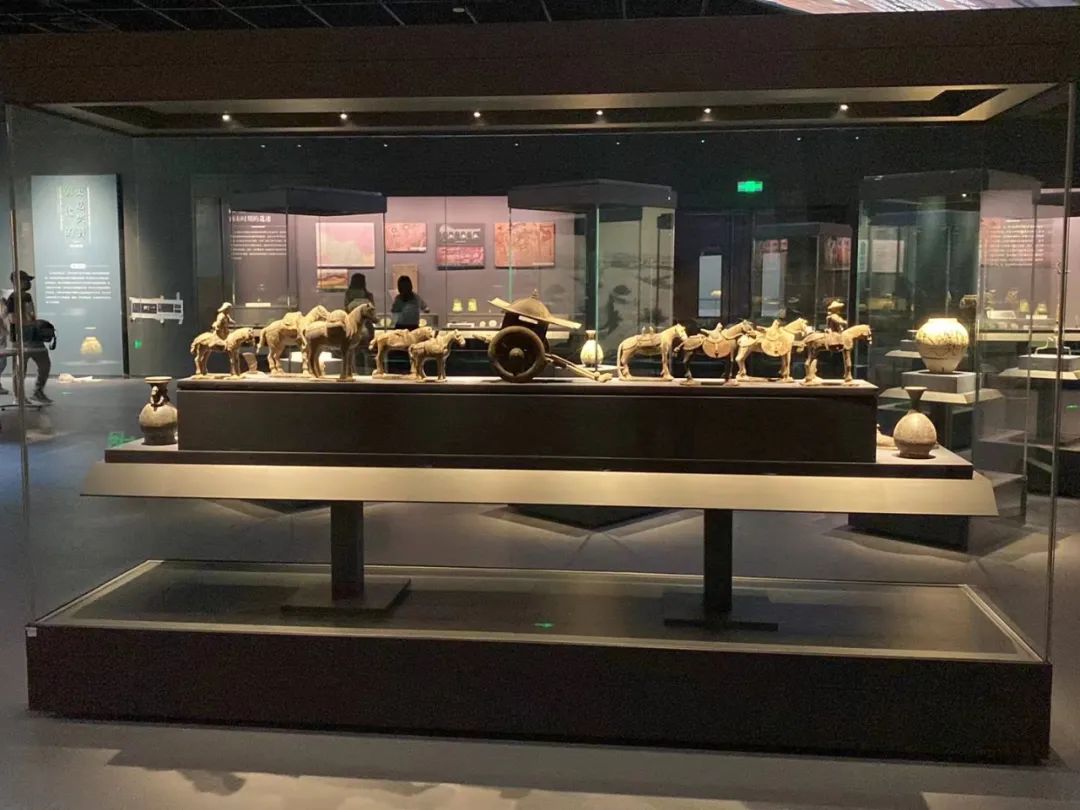 博物館展柜的文物展柜種類有哪些?插圖 圖片